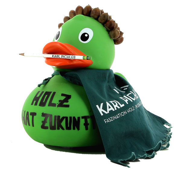 EnteKarlPichler