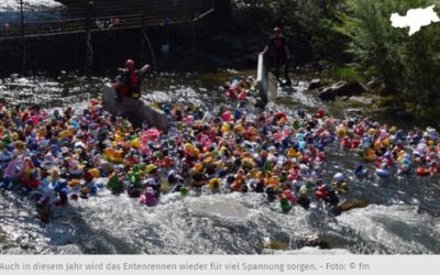 Auf die Plätze, Ente, los: Der Countdown fürs Südtiroler Entenrennen läuft