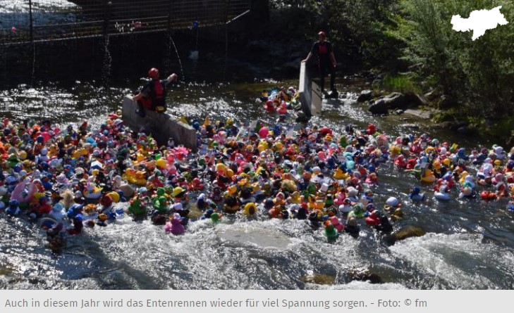 Auf die Plätze, Ente, los: Der Countdown fürs Südtiroler Entenrennen läuft